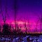 Magenta Clouds