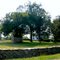 Stone Walls and Virginia Farm