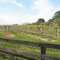 Chrysalis Vineyard