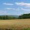 Blue Ridge