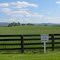 Blue Ridge Backdrop
