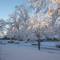 It Does Snow in Danville