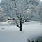 Danville, VA Snow 3-01-09