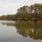 Sandy Bottom Nature Park