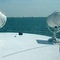Uproaching Tangier Island