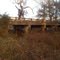 Abandoned Bridge
