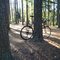 Rappahannock Campground Morning