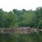 Log Jam