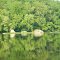 The water is green with reflections