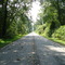 Great Dismal Swamp Trail