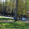Dismal Swamp State Park
