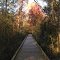 GDS Boardwalk
