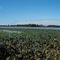 East Harbor S.P.