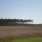 Typical Bladen County Landscape
