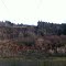The Green Belt near Fairwood