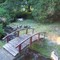 The creek that runs through our front yard