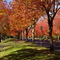 Canyon Park Bothell WA