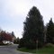 Neighbourhood landscaping WA
