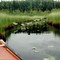 Nancy Lake