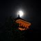 ☆Kanagawa Prefecture Government Office & Moon☆