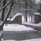 Waterloo Fireman's Park(winter)