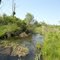 Bluff Creek natural area