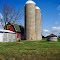 Country Farm