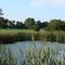 Turtle Greens Golf Course