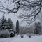 Winter in Lake Wisotta by SAM