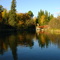 Onion River