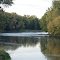 Red Cedar River