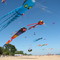 Kite's