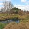Hay Creek