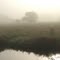 Morning Fog