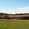 Rural Trempealeau Co., WI