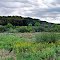 Hawkinson Creek Wet Prairie State Natural Area