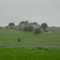 Horse country