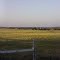 Hood County View in May