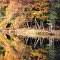 Whiskeag Creek, Bath Maine