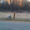 Melted mailbox after the forest fire