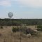 Classic West Texas Landscape