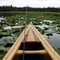 Canoeing the lakes near Kenai