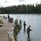 fishing Salmons, Kenai river
