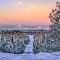 Snow View