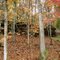 Ridgetop View