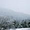 Winter Views