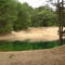 Dune Lake