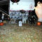 holloween camping