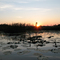 Backwater Sunset
