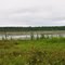 Spur Lake State Natural Area, WI
